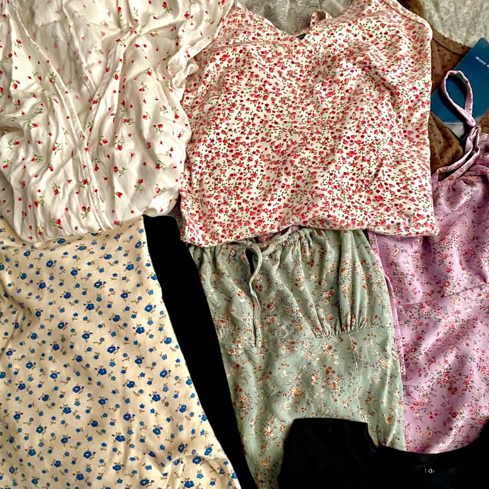 brandy collection! - Picture 2 of 5
